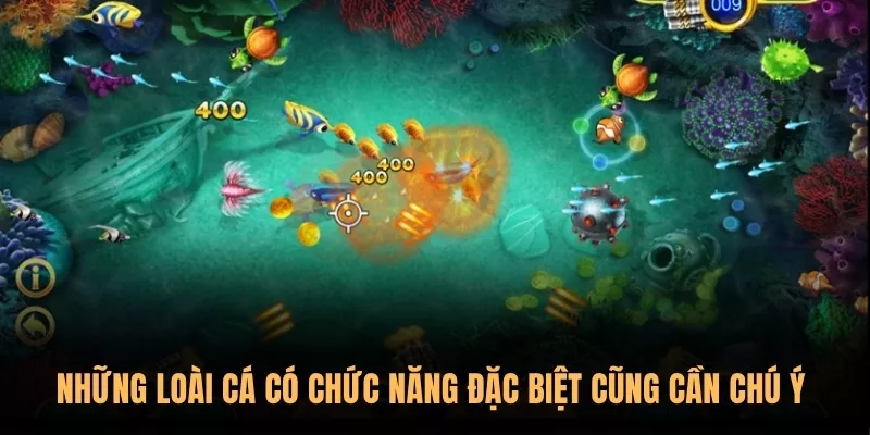 Những loài cá có chức năng đặc biệt cũng cần chú ý 
