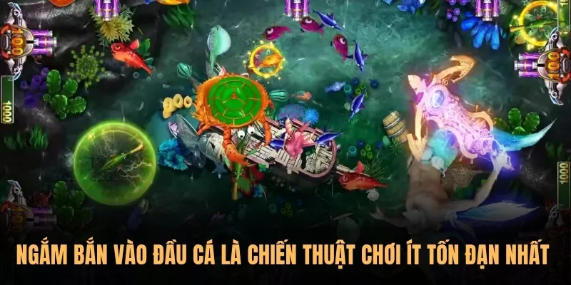 Ngắm bắn vào đầu cá là chiến thuật chơi ít tốn đạn nhất nhưng mang lại hiệu quả rõ rệt