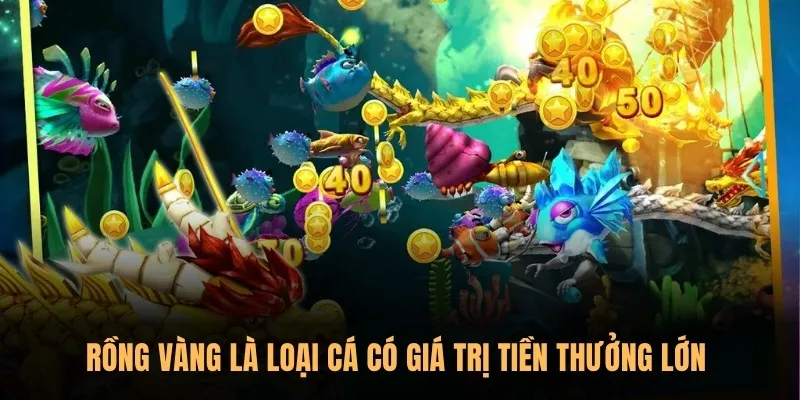 Rồng Vàng luôn là loại cá có giá trị tiền thưởng lớn được săn nhất 
