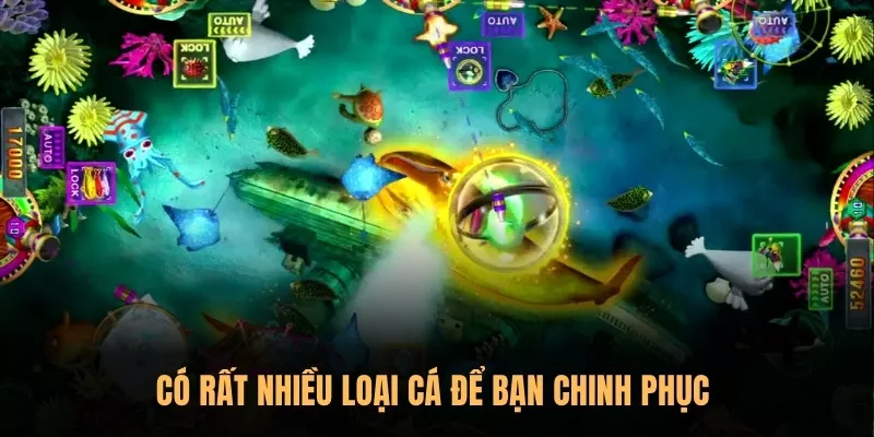 Có rất nhiều loại cá để bạn chinh phục 